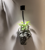 Modern wall light with built-in planter for indoor or outdoor decor, featuring sleek design by Daya Worldwide.