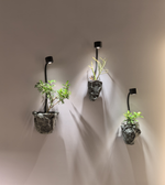 Daya Worldwide Verdant Wall Planter Light, modern wall light with integrated plant holder, sleek design for indoor or outdoor decor.