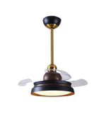 Modern retractable LED ceiling fan by Daya Worldwide with sleek design, three blades, and integrated lighting for stylish cooling.