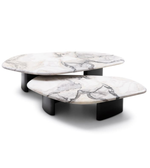 Set of two Alba nesting coffee tables by Daya Worldwide featuring modern wooden design and sleek finish.
