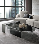 Set of two sculpted glass coffee tables with sleek, modern design by Daya Worldwide, featuring clear glass surfaces and curved legs.
