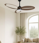 Ceiling fan in a living room with a couch and plant