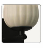 Close-up of a beige and black object on a white background