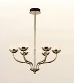 A modern 5-light chandelier with a polished brass-finished metal frame, curved arms, and textured white glass globes, suspended from a black ceiling canopy against a light beige background.