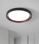 Ceiling light fixture on a neutral ceiling