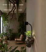 Modern Verdant Wall Planter Light by Daya Worldwide, sleek wall-mounted light fixture with integrated planter for stylish decor.