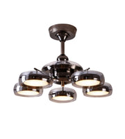 Daya Worldwide designer LED ceiling fan with spotlight rings, modern ceiling fan with integrated lighting and sleek design.
