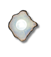 Aurelía Bloom wall sconce by Daya Worldwide, modern wall light with floral-inspired design, mounted on a neutral wall.