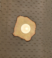 Aurelía Bloom wall sconce by Daya Worldwide featuring a modern floral-inspired design and warm ambient lighting.