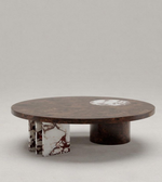 Marble Fusion Coffee Table by Daya Worldwide featuring a sleek marble top and modern design for stylish living rooms.