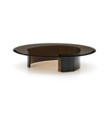 Daya Worldwide Noir oval coffee table with sleek black finish, modern design, and smooth surface for living room decor.