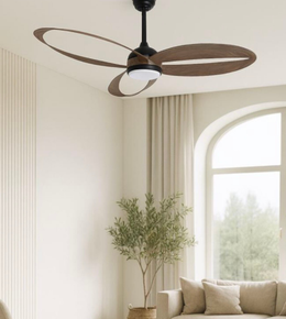 Ceiling fan in a living room with a couch and plant