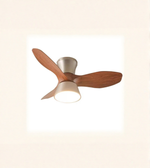 Ceiling fan with wooden blades and light fixture on a white background