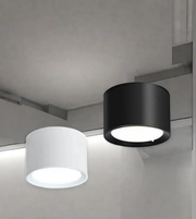 Two cylindrical ceiling lights, one black and one white, on a neutral background.