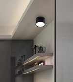 Ceiling light fixture on a wall with shelves below