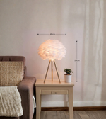 Feather tripod lamp with gold base shown with dimensions