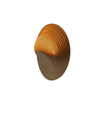 Daya Worldwide Aurora Curve wall light featuring a sleek, curved design in a modern style for ambient home lighting.