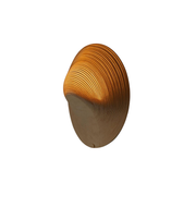 Daya Worldwide Aurora Curve wall light featuring a sleek, curved design in a modern style for ambient home lighting.