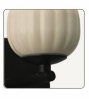 Close-up of a beige and black object on a white background