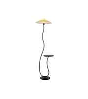 Floor lamp with a small table on a white background