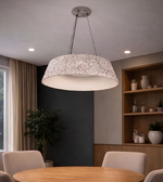 Modern pendant light hanging above a dining table in a room with shelves and plants.