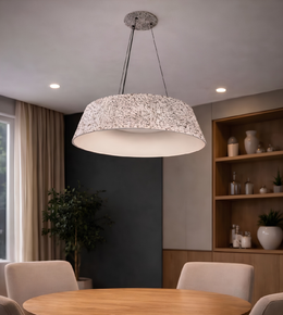 Modern pendant light hanging above a dining table in a room with shelves and plants.