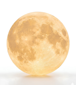 Full moon on a white background