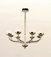 A six-light chandelier with a polished gold-finished metal frame, curved arms, and round frosted glass globes, suspended from a central rod against a plain light background.