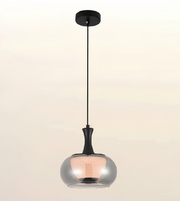 A modern pendant light with a black ceiling canopy and cord, featuring a large, rounded clear glass shade that reflects warm light from an internal bulb, shown against a soft beige gradient background.