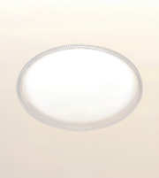 An oval ceiling light fixture with a frosted white center and a textured, rope-like clear outer rim, shown against a plain off-white background.