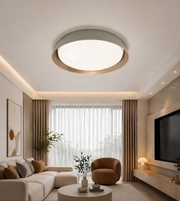 Modern living room with a ceiling light fixture