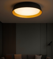 Ceiling light fixture in a dimly lit room with a sofa and decorative pillows.