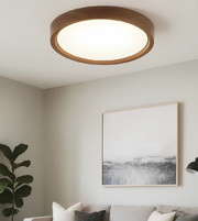Ceiling light fixture in a living room with a framed abstract painting on the wall.