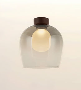 A modern pendant light with a rounded, dome-shaped translucent smoky glass shade, a warm glowing bulb inside, and a dark brown cylindrical cap at the top, shown against a plain off-white background.