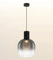 A modern pendant light with a black ceiling canopy and cord, featuring a clear smoked glass shade that reveals a warm glowing bulb inside, set against a soft beige gradient background.