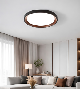 Ceiling light fixture in a modern living room setting